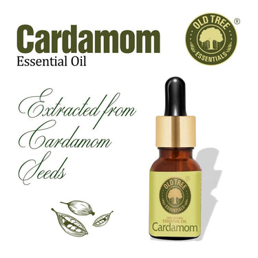 Old Tree Cardamom (Elaichi) Essential Oil (15ml) - For Skin, Hair Care, Fragrance, Soap Making, and Aromatherapy - Pure, Natural and Undiluted Perfume Oil with Glass Dropper